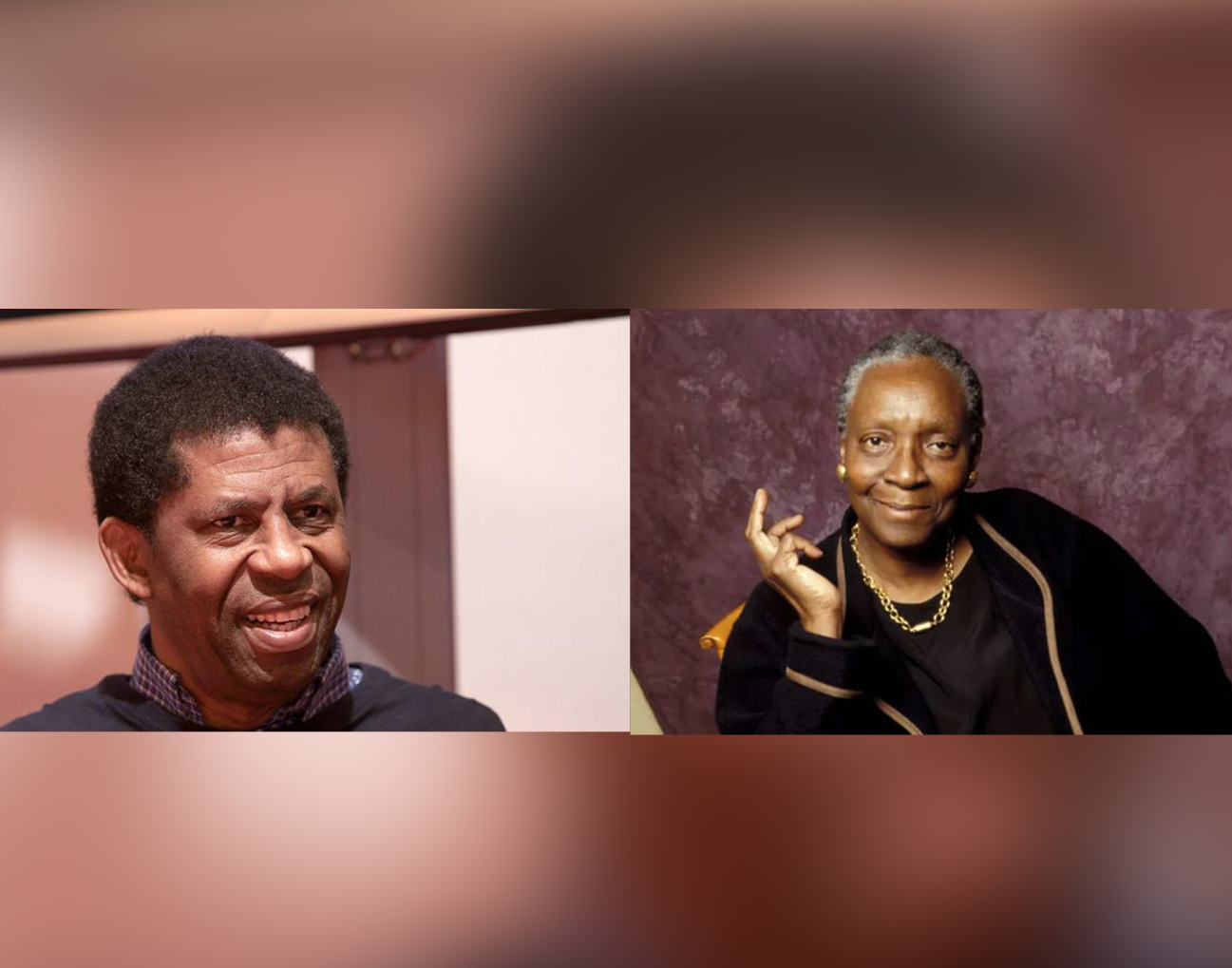 Pour Dany Laferrière «  Les livres de Maryse Condé sont gorgés de soleil »